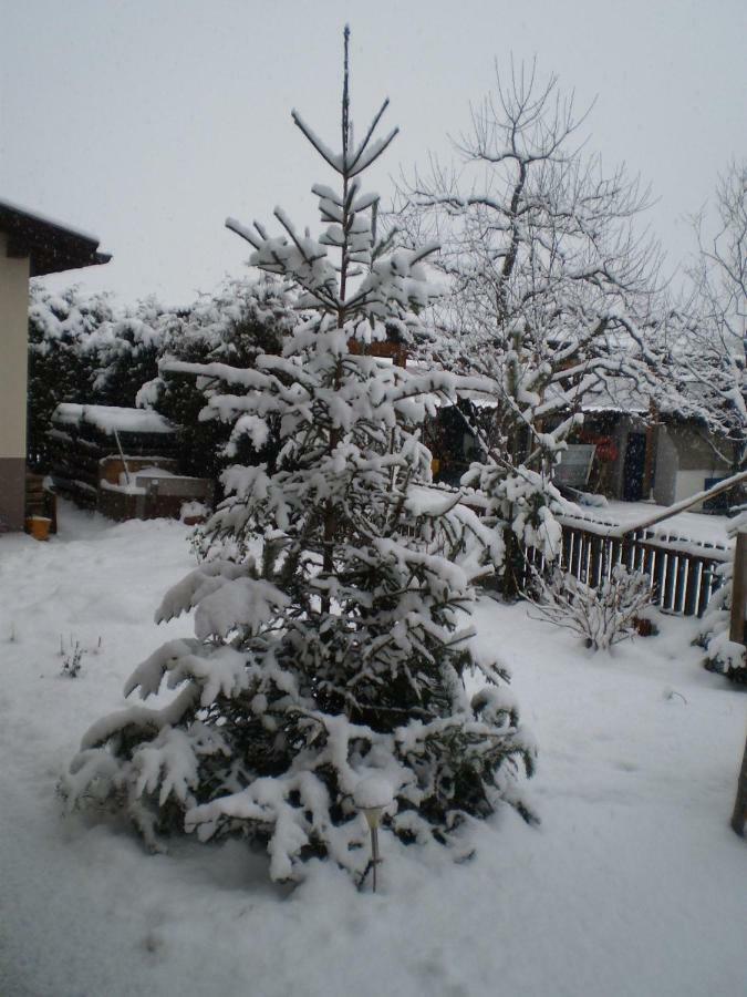 Pension Delacher Ried im Oberinntal Esterno foto